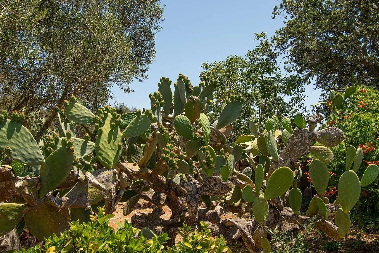 Farm stay Son Galileu Villa Llucmajor
