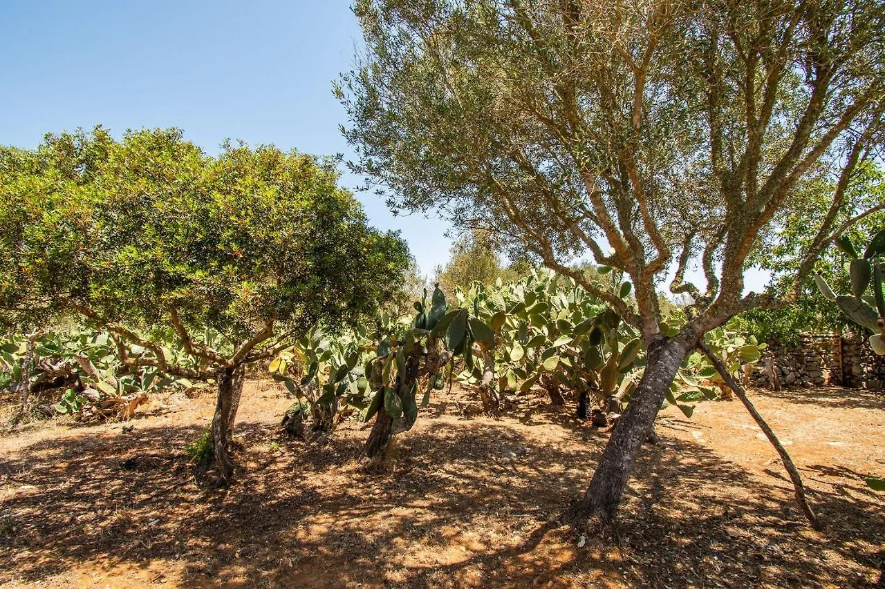 Son Galileu Villa Llucmajor  0*, Llucmajor (Mallorca)