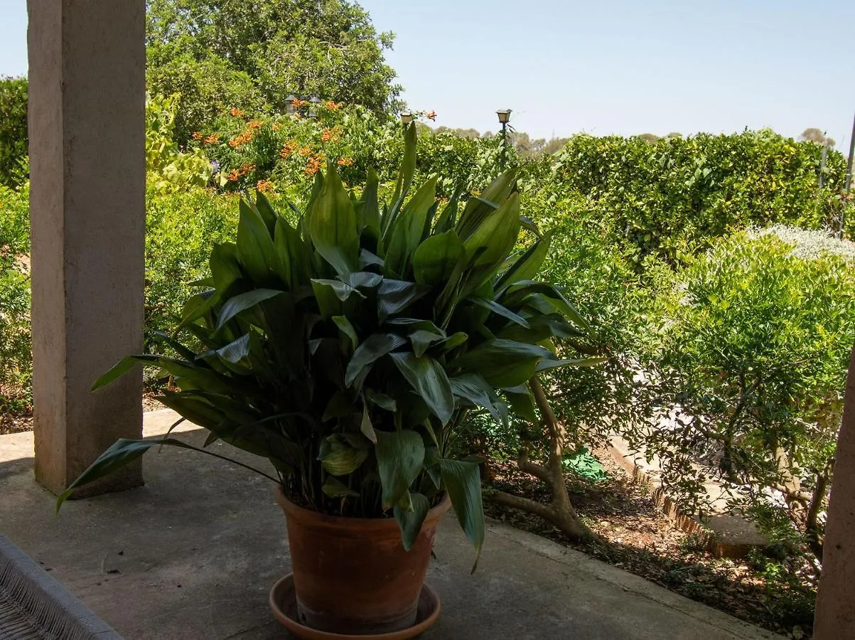 Farm stay Son Galileu Villa Llucmajor  Spain