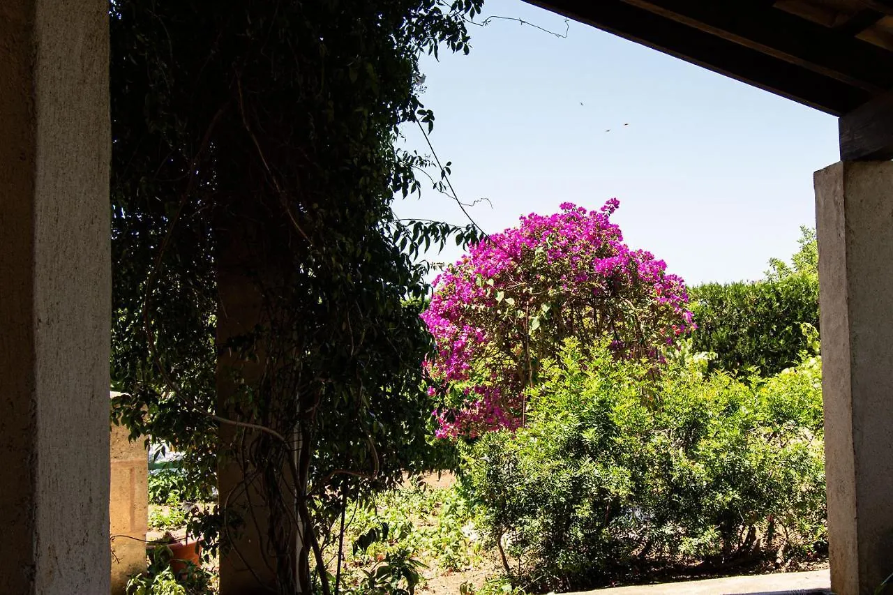 Çiftlik konaklama Son Galileu Villa Llucmajor  İspanya